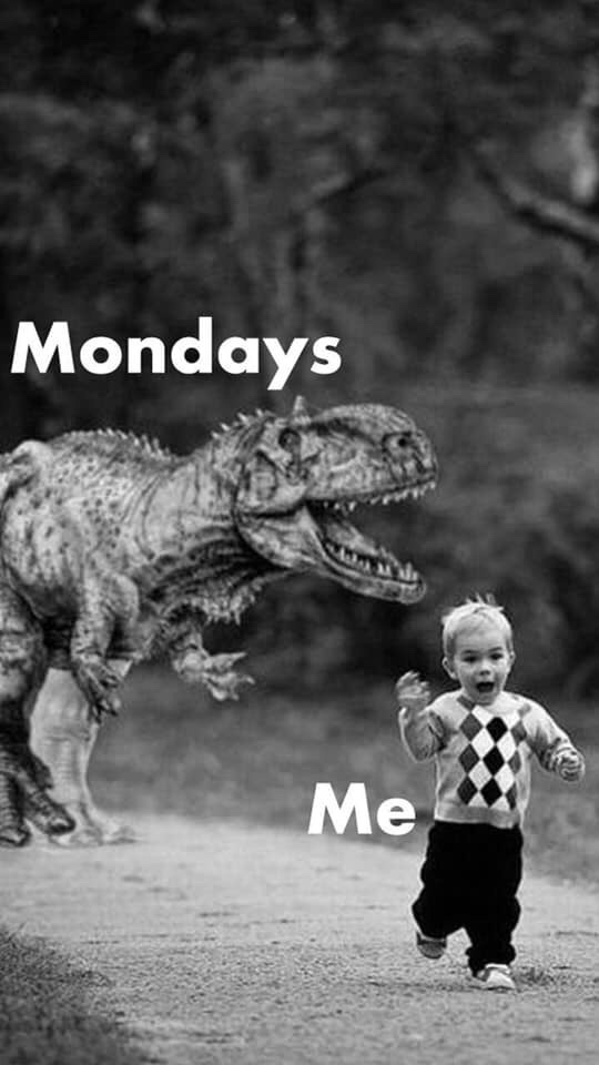 January Monday Memes